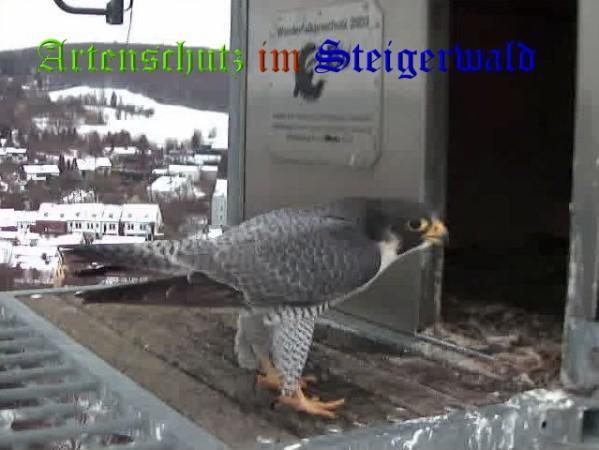 Copyright AiS / Wörner Bild zum Eintrag (27795-160)