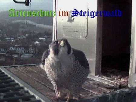 Copyright AiS / Wörner Bild zum Eintrag (27797-160)
