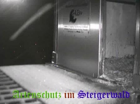 Copyright AiS / Wörner Bild zum Eintrag (27800-160)
