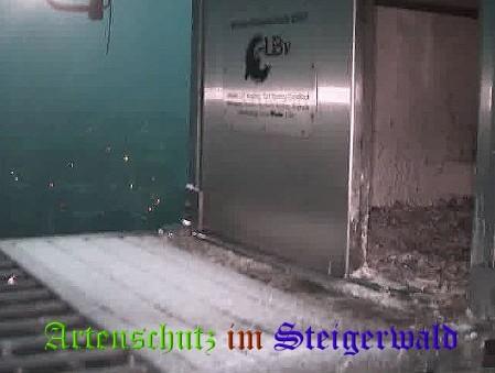 Copyright AiS / Wörner Bild zum Eintrag (27801-160)
