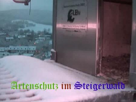 Copyright AiS / Wörner Bild zum Eintrag (27803-160)