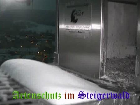 Copyright AiS / Wörner Bild zum Eintrag (27804-160)
