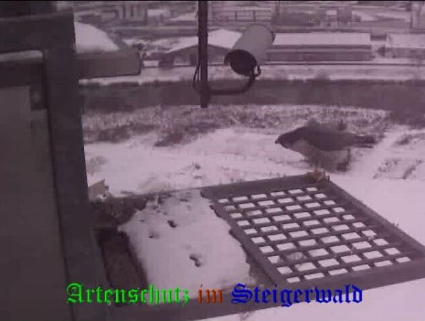 Copyright AiS / 2009 Wörner Bild zum Eintrag (29926-160)