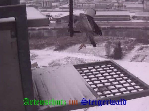 Copyright AiS / 2009 Wörner Bild zum Eintrag (29928-160)