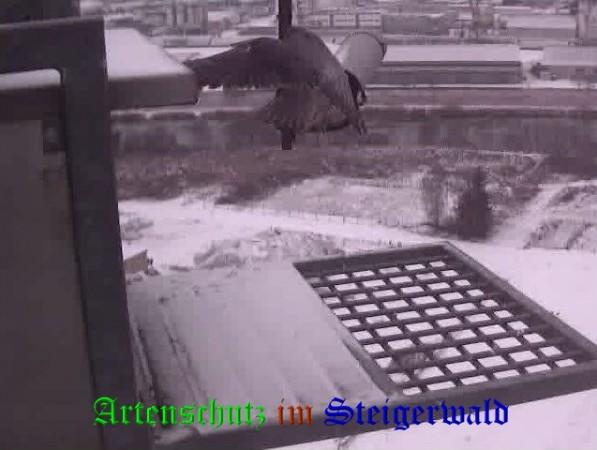 Copyright AiS / 2009 Wörner Bild zum Eintrag (29929-160)