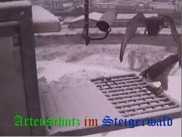Copyright AiS / 2009 Wörner Bild zum Eintrag (29952-160)