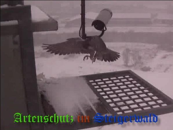 Copyright AiS / 2009 Wörner Bild zum Eintrag (29961-160)