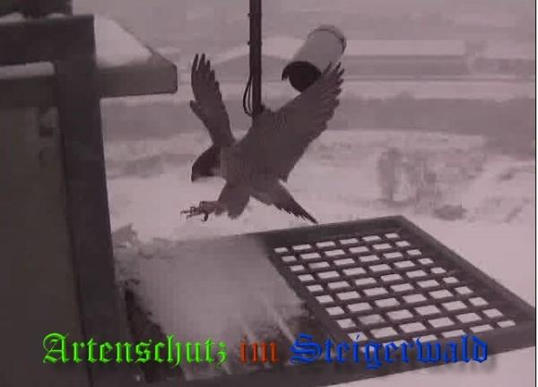 Copyright AiS / 2009 Wörner Bild zum Eintrag (29962-160)