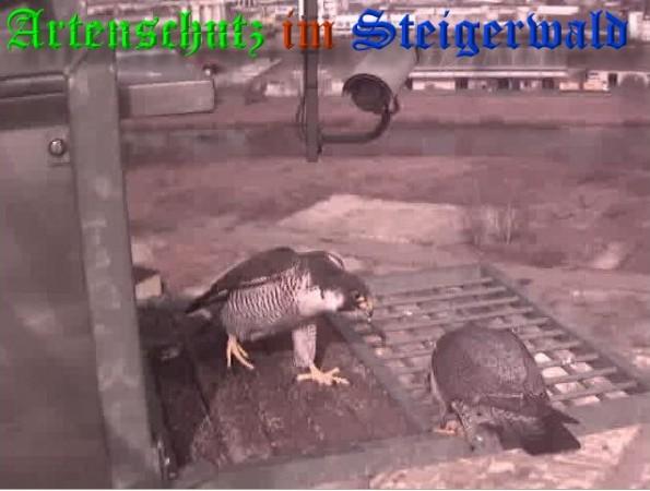 Copyright AiS / 2009 Wörner Bild zum Eintrag (29976-160)