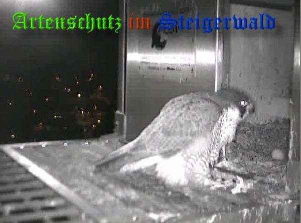 Copyright AiS / 2009 Wörner Bild zum Eintrag (29979-160)