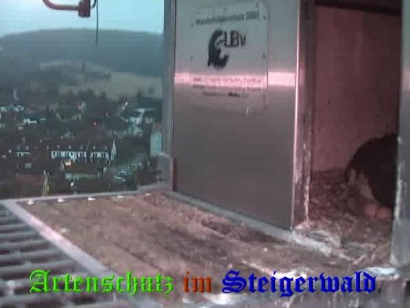Copyright AiS / 2009 Wörner Bild zum Eintrag (29985-160)