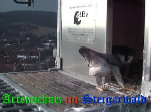 Copyright AiS / 2009 Wörner Bild zum Eintrag (29991-160)