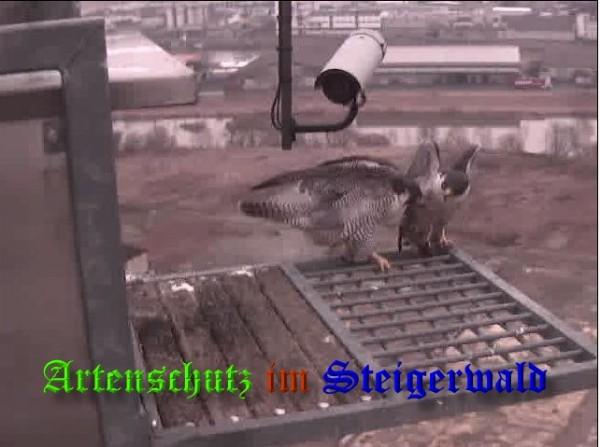 Copyright AiS / 2009 Wörner Bild zum Eintrag (29998-160)