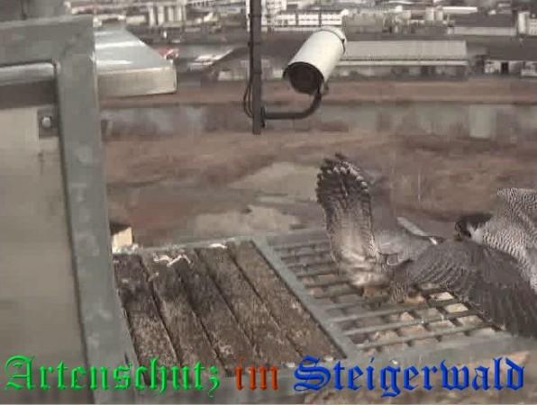 Copyright AiS / 2009 Wörner Bild zum Eintrag (30007-160)