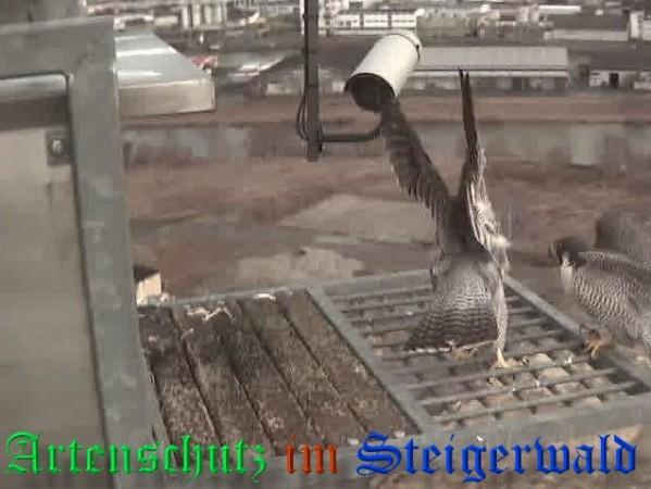 Copyright AiS / 2009 Wörner Bild zum Eintrag (30008-160)