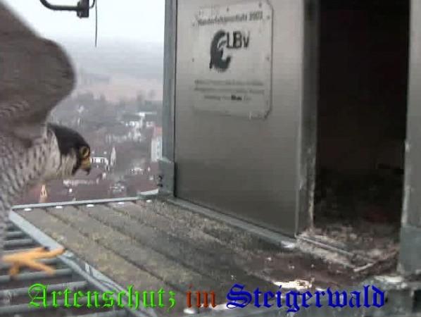 Copyright AiS / 2009 Wörner Bild zum Eintrag (30011-160)