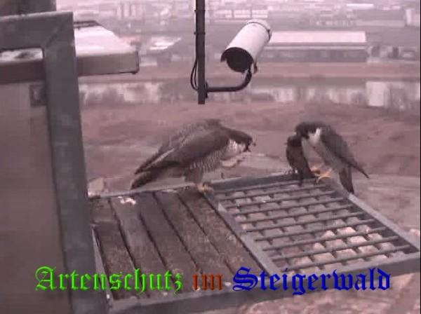 Copyright AiS / 2009 Wörner Bild zum Eintrag (30016-160)