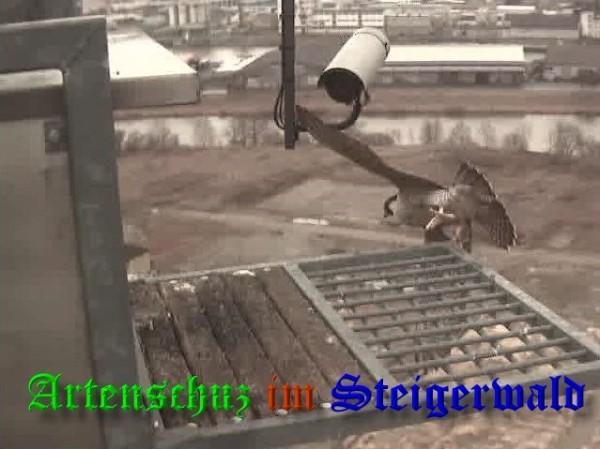 Copyright AiS / 2009 Wörner Bild zum Eintrag (30026-160)