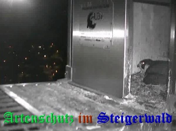 Copyright AiS / 2009 Wörner Bild zum Eintrag (30048-160)