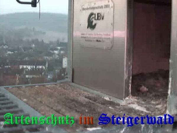 Copyright AiS / 2009 Wörner Bild zum Eintrag (30050-160)