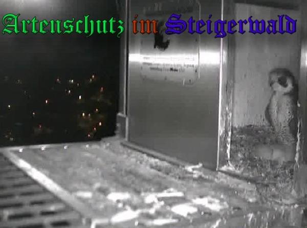 Copyright AiS / 2009 Wörner Bild zum Eintrag (30053-160)