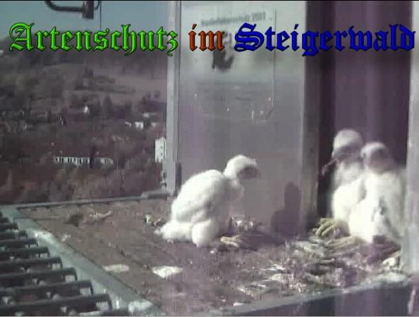 Copyright AiS / 2009 Wörner Bild zum Eintrag (30058-160)