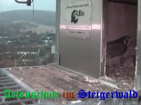 Copyright AiS / 2009 Wörner Bild zum Eintrag (30061-160)