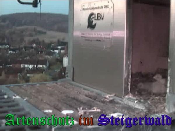 Copyright AiS / 2009 Wörner Bild zum Eintrag (30064-160)