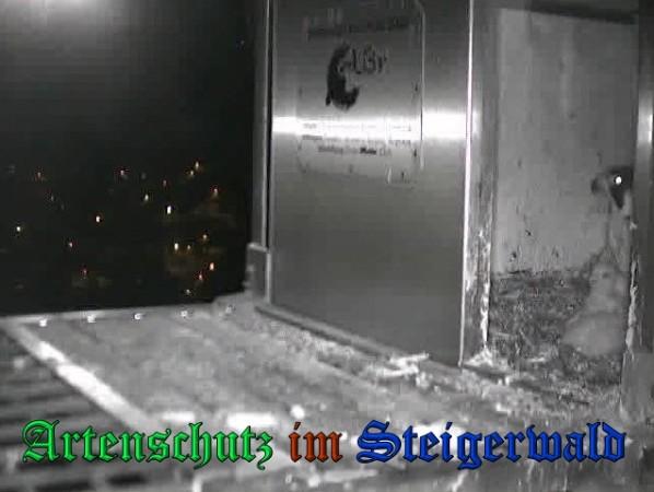 Copyright AiS / 2009 Wörner Bild zum Eintrag (30067-160)