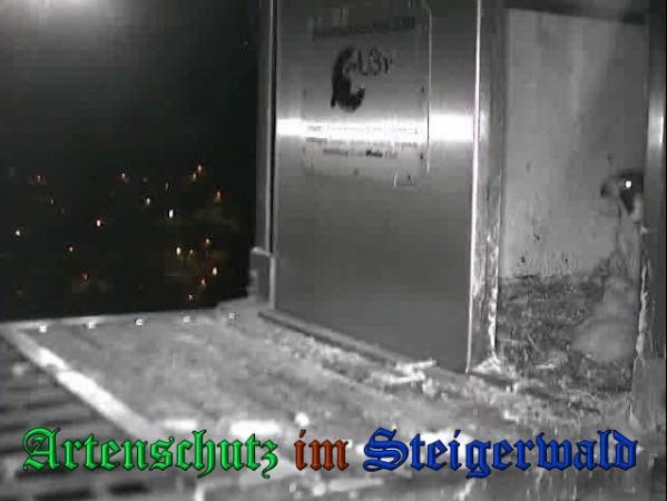Copyright AiS / 2009 Wörner Bild zum Eintrag (30068-160)