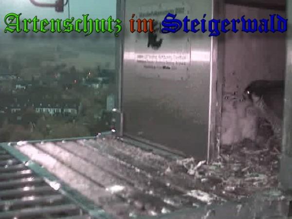 Copyright AiS / 2009 Wörner Bild zum Eintrag (30071-160)