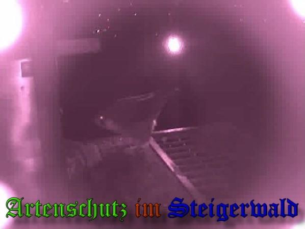 Copyright AiS / 2009 Wörner Bild zum Eintrag (30079-160)