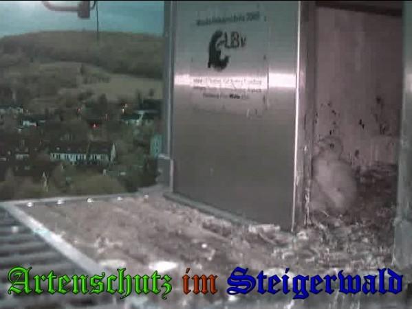 Copyright AiS / 2009 Wörner Bild zum Eintrag (30080-160)