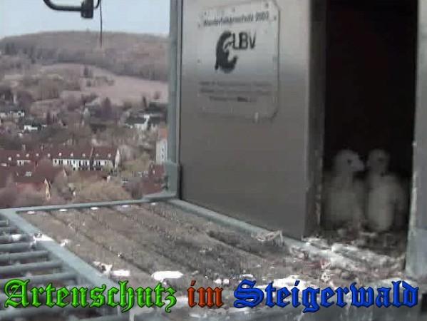 Copyright AiS / 2009 Wörner Bild zum Eintrag (30084-160)