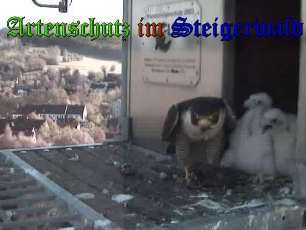 Copyright AiS / 2009 Wörner Bild zum Eintrag (30088-160)