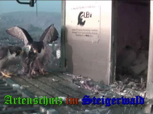 Copyright AiS / 2009 Wörner Bild zum Eintrag (30096-160)