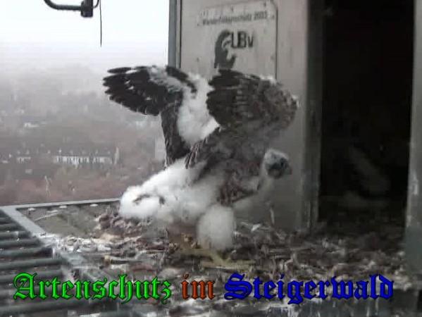 Copyright AiS / 2009 Wörner Bild zum Eintrag (30116-160)