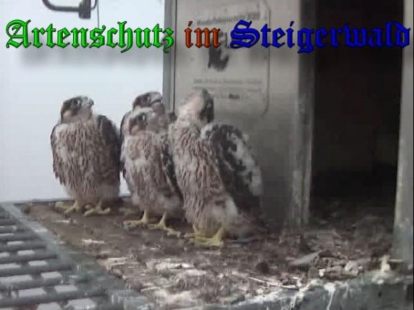 Copyright AiS / 2009 Wörner Bild zum Eintrag (30148-160)