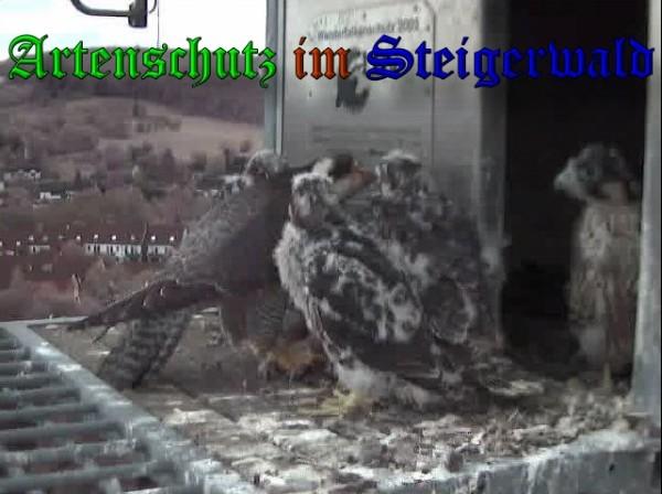 Copyright AiS / 2009 Wörner Bild zum Eintrag (30149-160)