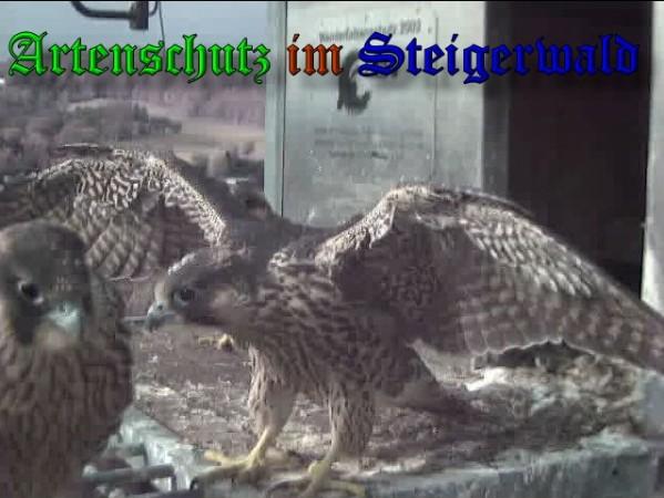 Copyright AiS / 2009 Wörner Bild zum Eintrag (30151-160)