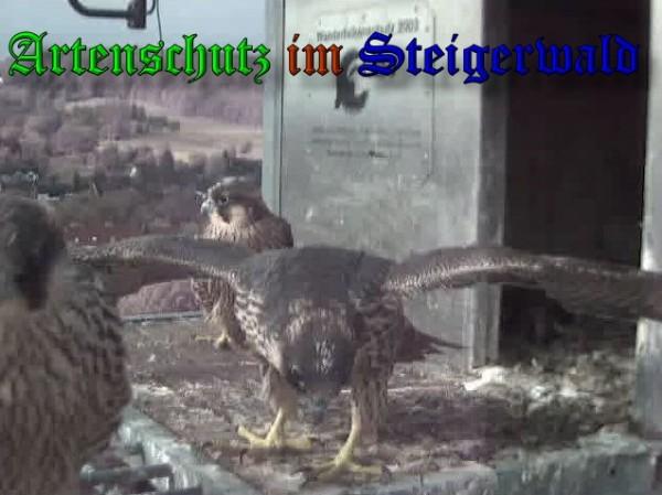 Copyright AiS / 2009 Wörner Bild zum Eintrag (30152-160)