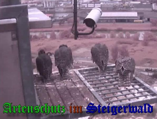 Copyright AiS / 2009 Wörner Bild zum Eintrag (30153-160)