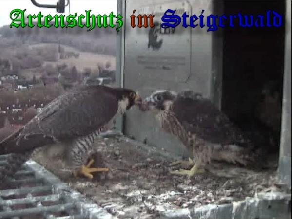 Copyright AiS / 2009 Wörner Bild zum Eintrag (30157-160)