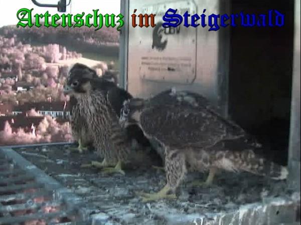 Copyright AiS / 2009 Wörner Bild zum Eintrag (30161-160)