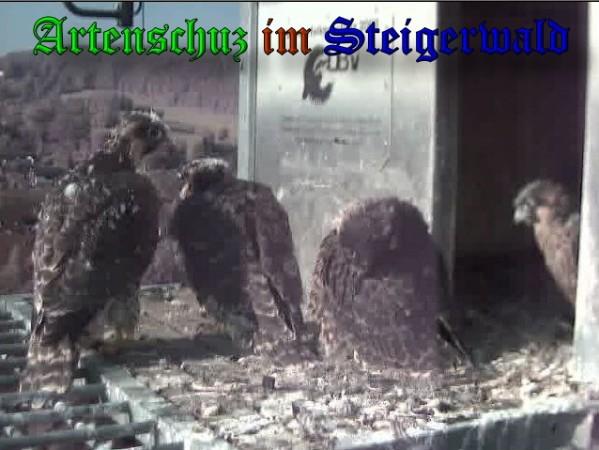 Copyright AiS / 2009 Wörner Bild zum Eintrag (30162-160)