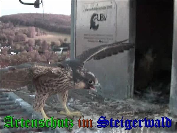 Copyright AiS / 2009 Wörner Bild zum Eintrag (30168-160)