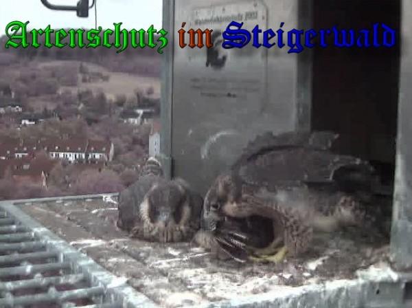 Copyright AiS / 2009 Wörner Bild zum Eintrag (30170-160)