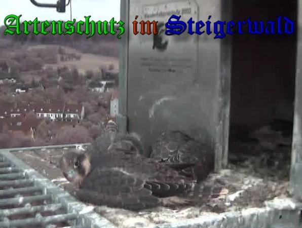 Copyright AiS / 2009 Wörner Bild zum Eintrag (30171-160)