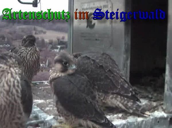 Copyright AiS / 2009 Wörner Bild zum Eintrag (30172-160)