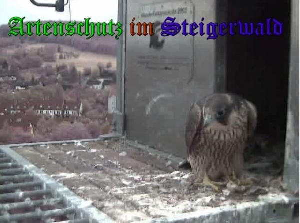 Copyright AiS / 2009 Wörner Bild zum Eintrag (30174-160)